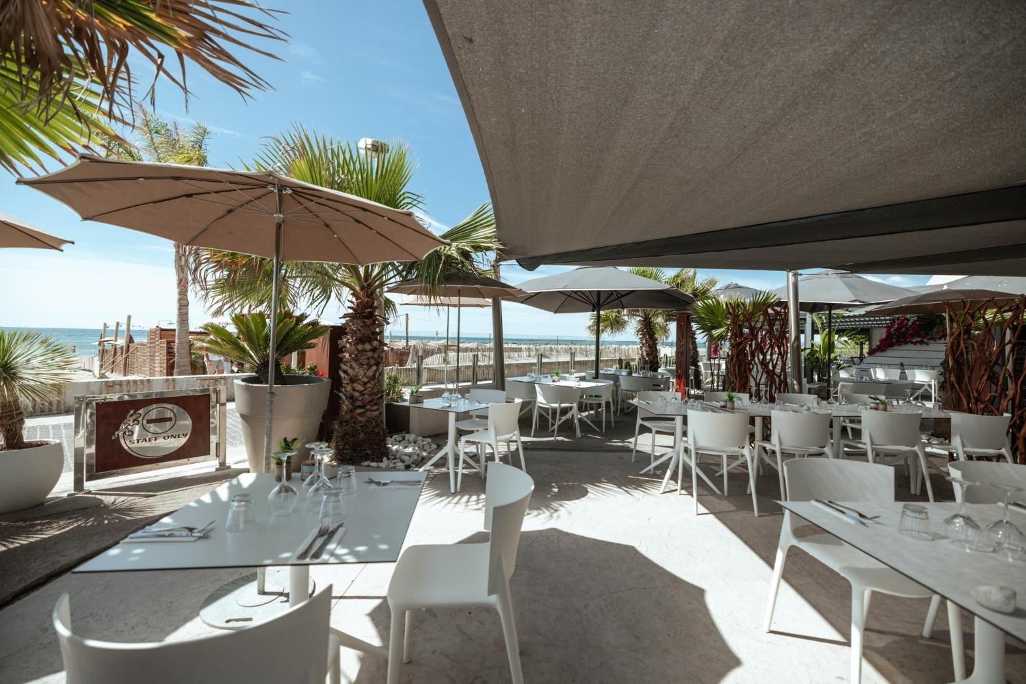 Appartement 1Ere Ligne Piscine Terrasse Au Bord De La Plage Front De Mer Avec 6 Velos Palavas-les-Flots Eksteriør bilde