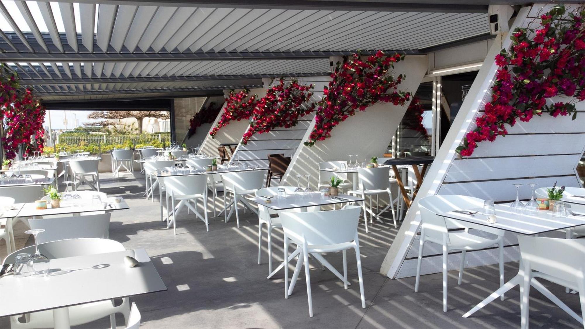 Appartement 1Ere Ligne Piscine Terrasse Au Bord De La Plage Front De Mer Avec 6 Velos Palavas-les-Flots Eksteriør bilde